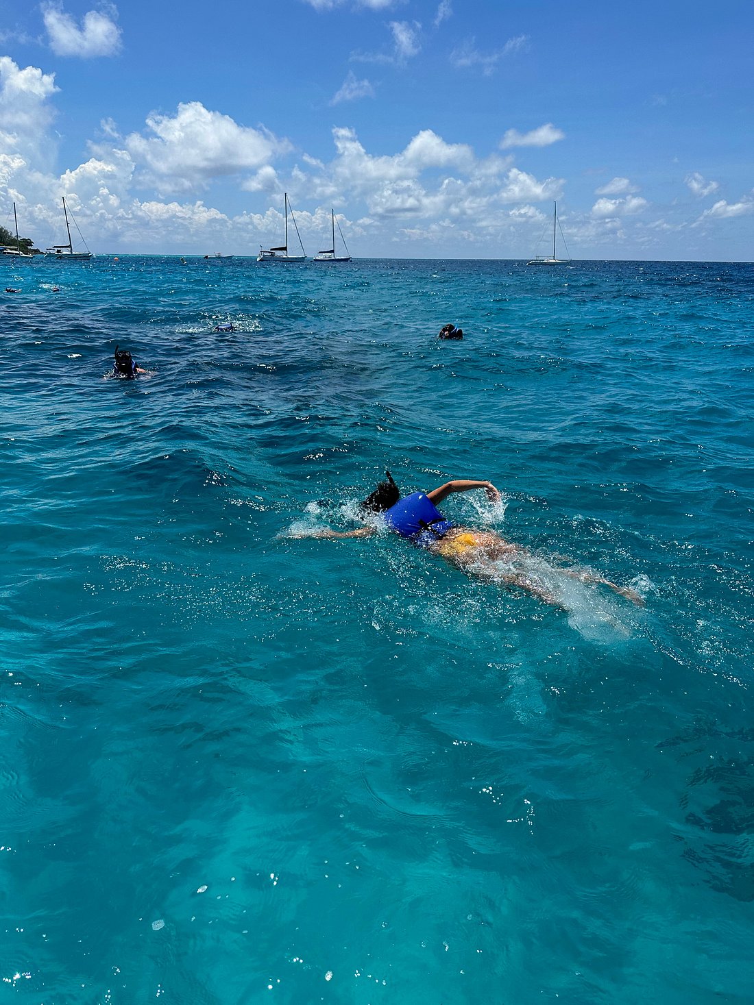 Private chauffeur Barbados